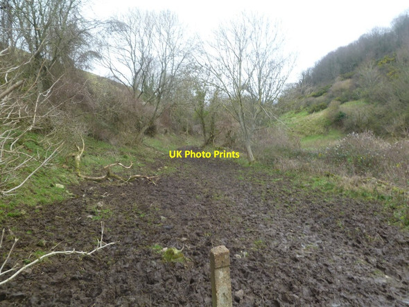 Photo 6"x4" Hill Bottom Worth Matravers c2012