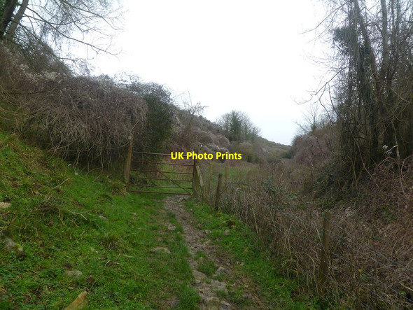 Photo 6"x4" Hill Bottom, gate Kingston\/SY9579 c2012