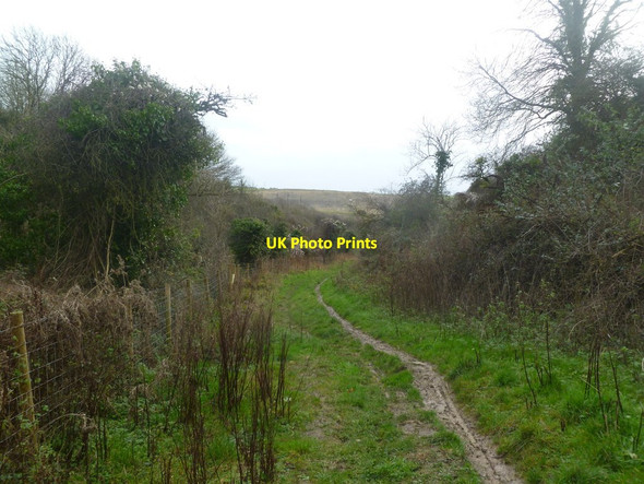 Photo 6"x4" Kingston, Coombe Bottom Kingston\/SY9579 c2012