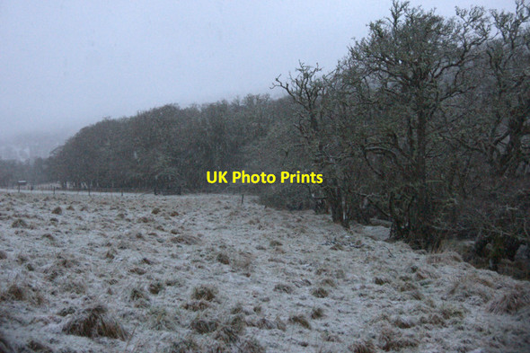 Photo 6"x4" Snowy paddock beside the River Glass at Struy Erchless Castle c2011