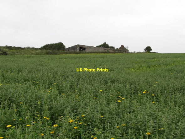 Photo 6"x4" Cropland on the cliff top Killough c2011