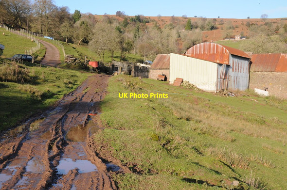 Photo 6"x4" Old Garden, Garway Hill Garway Hill c2012
