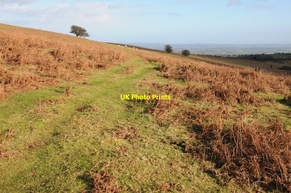 Photo 6"x4" Garway Hill Common White Rocks c2012