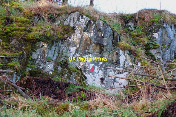 Photo 6"x4" Orienteering marker, Tantah Peebles\/NT2540 c2012