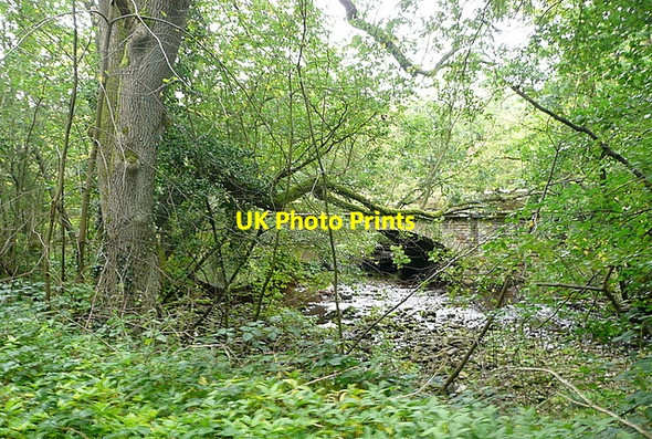 Photo 6"x4" Railway over the Murk Esk Green End\/NZ8203 c2011