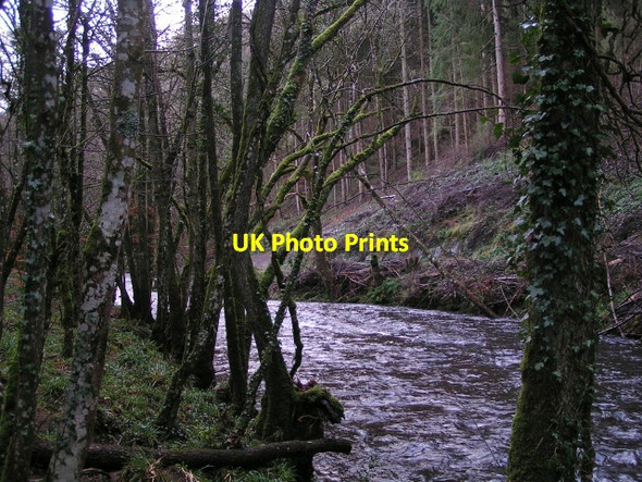 Photo 6"x4" River Teign Butts\/SX8089 c2012