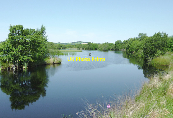 Photo 6"x4" Pool on Cors Caron (July), Ceredigion Tregaron c2011