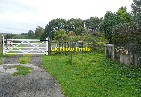 Photo 6"x4" Moor Crossing Goathland c2011