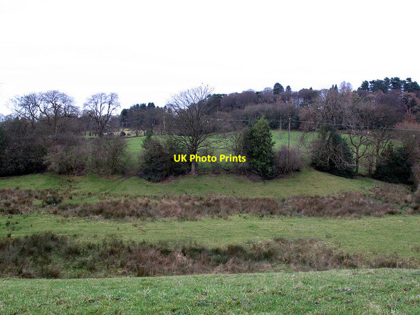 Photo 6"x4" Field below Well Lane Macclesfield c2011
