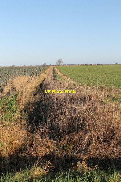 Photo 6"x4" Overgrown Drain off North Drove Bicker Gauntlet c2012