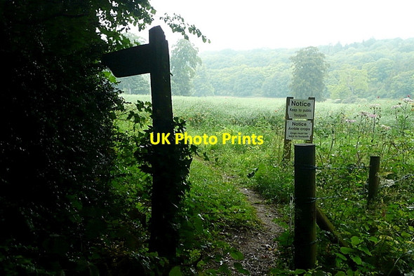 Photo 6"x4" Footpath to Larkwhistle Farm Couch Green c2011