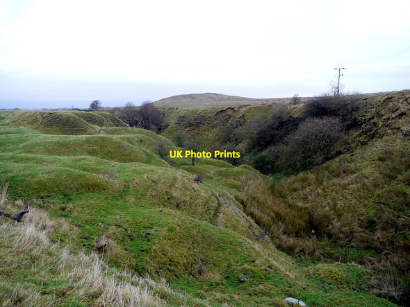 Photo 6"x4" Foresthead Quarry Forest Head c2012