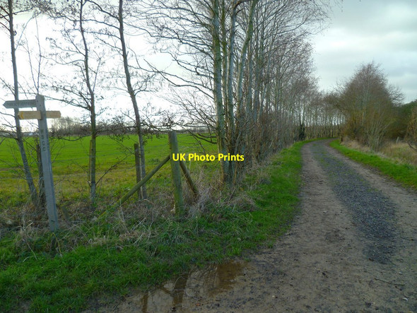 Photo 6"x4" Signpost at junction north of Stonewall Farm Fishbourne\/SU8304 c2012