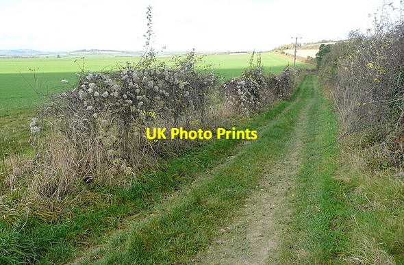 Photo 6"x4" Bridleway towards Kingsclere Kingsclere c2011