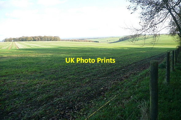 Photo 6"x4" Farmland north of Gaston Wood Hannington\/SU5455 c2011