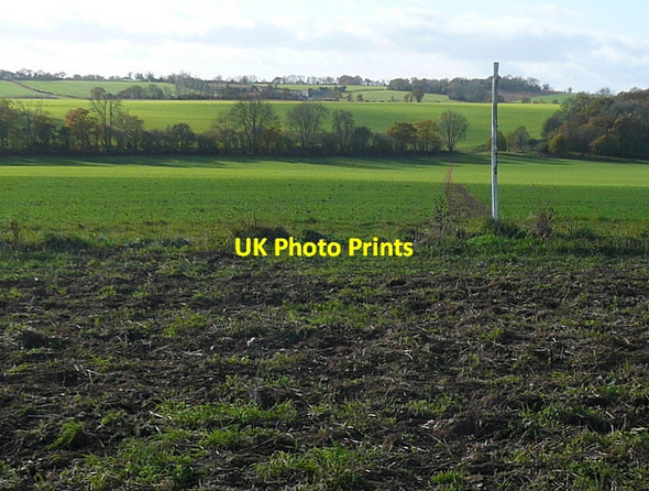 Photo 6"x4" Footpath south of Week Copse Ibworth c2011