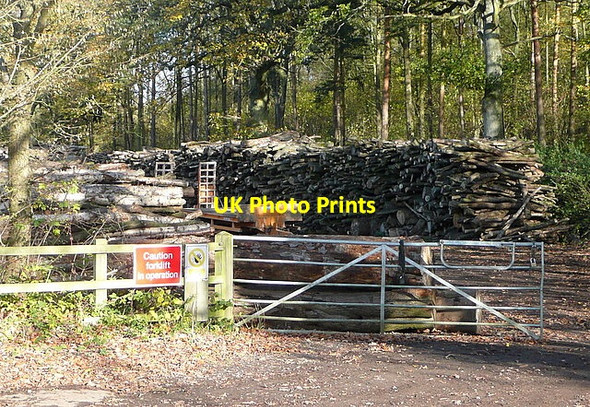 Photo 6"x4" Timber depot on Summer Down Lane Church Oakley c2011