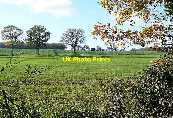 Photo 6"x4" View from Summer Down Lane Church Oakley c2011