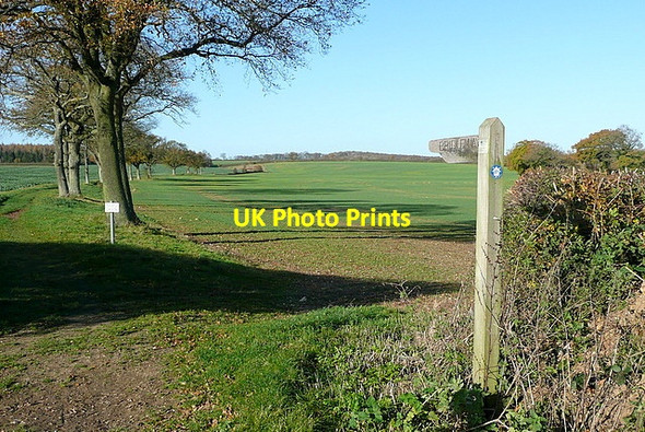 Photo 6"x4" Bridleway from Ivy Down Lane Church Oakley c2011