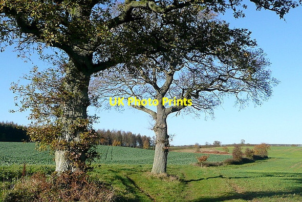 Photo 6"x4" Bridleway towards North Oakley Church Oakley c2011 P1