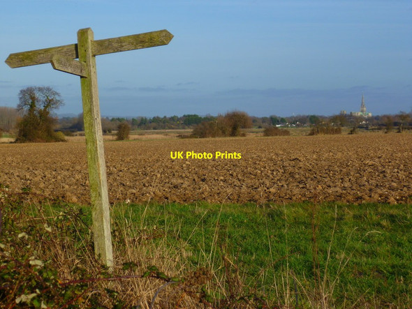 Photo 6"x4" Field with signpost south of Fishbourne Dell Quay c2012