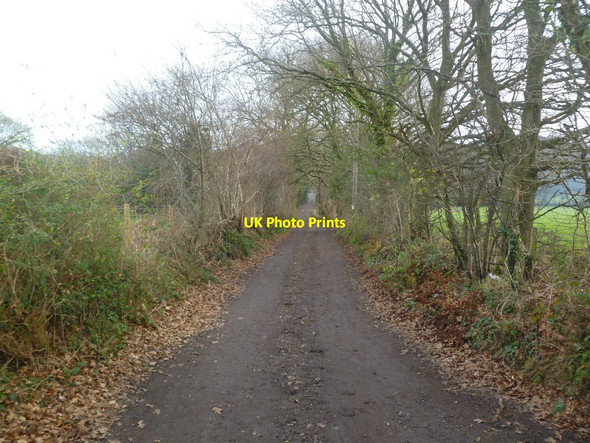 Photo 6"x4" Corfe Mullen, bridleway Corfe Mullen c2012