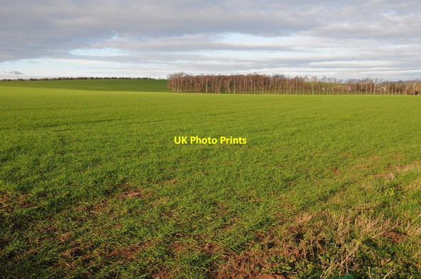 Photo 6"x4" Arable land near Peterstow Lower Grove Common c2012