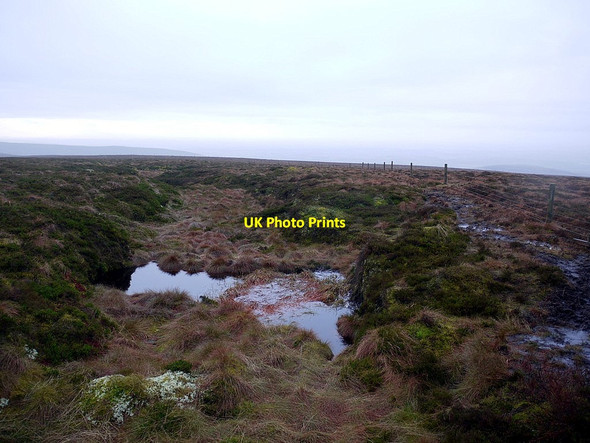 Photo 6"x4" Boggy ponds west of Cold Fell Forest Head c2012
