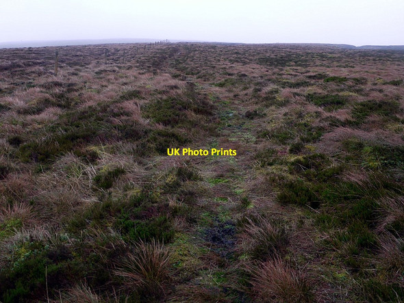 Photo 6"x4" Below Cold Fell summit Forest Head c2012