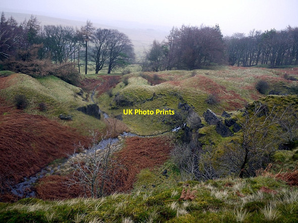 Photo 6"x4" Disused quarry south-east of Tarn House Tindale c2012