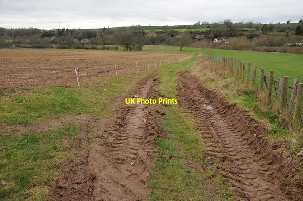 Photo 6"x4" Farmland at Ruxton Hoarwithy c2012