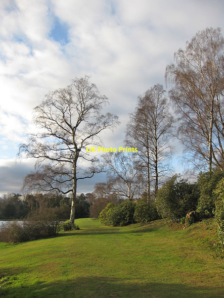 Photo 6"x4" Grassy path towards South Lake Welburn\/SE7267 c2012