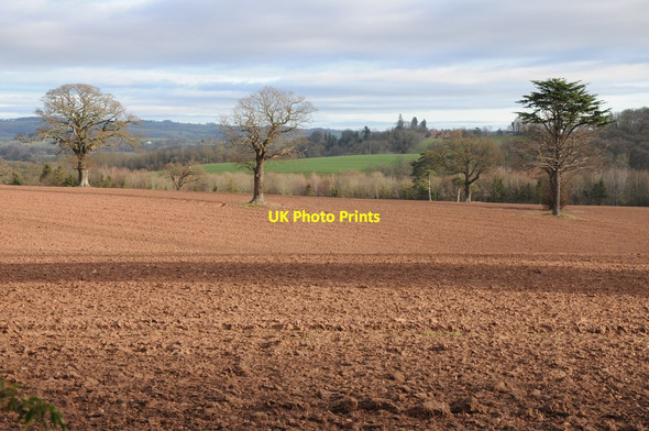 Photo 6"x4" Ploughed field near Hoarwithy Kynaston\/SO5427 c2012