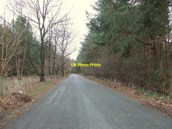 Photo 6"x4" Country Road Flempton c2012