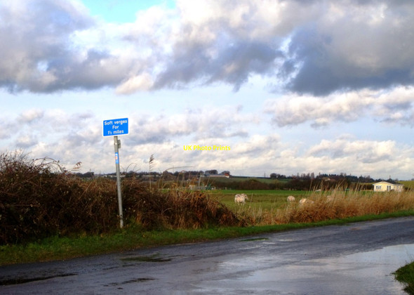 Photo 6"x4" Minor road after shower, Norman's Bay Norman's Bay c2011