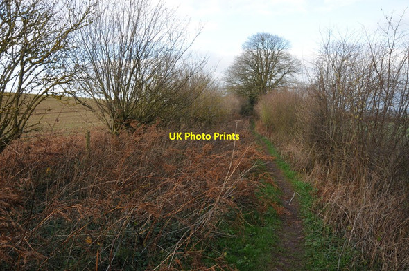 Photo 6"x4" Bridleway at Harewood End Harewood End c2012