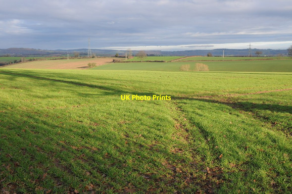 Photo 6"x4" Arable land at Harewood End Harewood End c2012