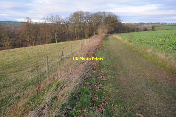 Photo 6"x4" Bridleway to Hoarwithy Red Rail c2012