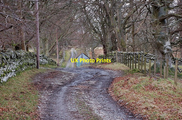 Photo 6"x4" Track above Dawyck Mill Bellspool c2012