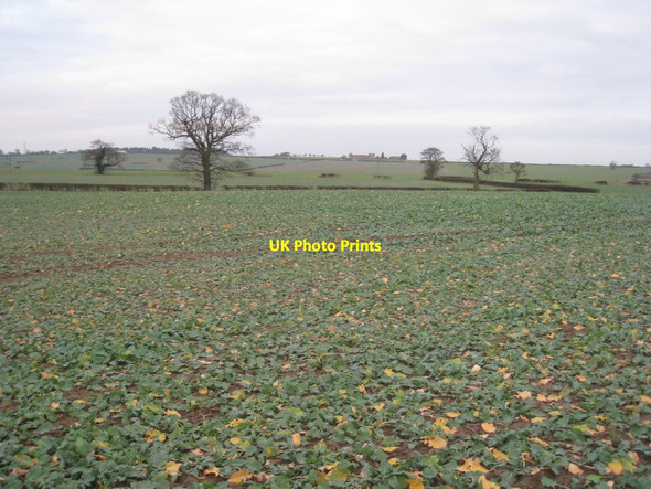 Photo 6"x4" View towards Gringley Grange Beckingham\/SK7790 c2011