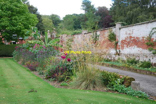 Photo 6"x4" The drive Edmondsham c2010