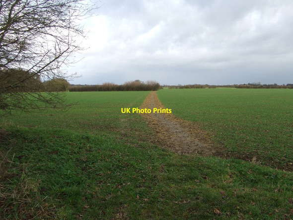 Photo 6"x4" Marked Footpath Gulling Green c2012