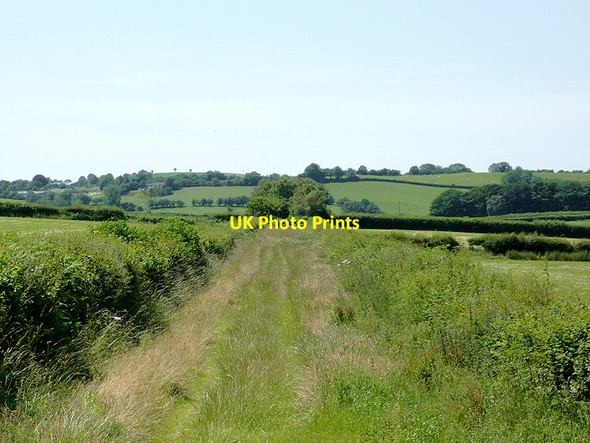 Photo 6"x4" Bridleway north of Tregaron, Ceredigion Tregaron c2011