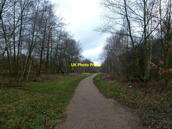 Photo 6"x4" The Trans Pennine Trail near Wombwell Low Valley c2012