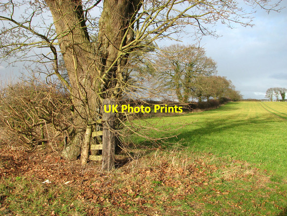 Photo 6"x4" Entrance into a field north of the B1145 East Lexham c2012