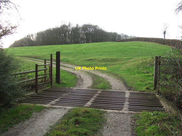 Photo 6"x4" Cattle Grid Rede c2012
