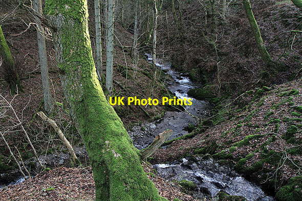 Photo 6"x4" The Cornal Burn Dumcrieff c2012