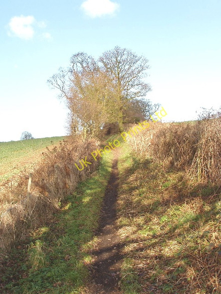 Photo 6"x4" Bridleway from Denham to Chalfont Common West Hyde\/TQ0391 c2006