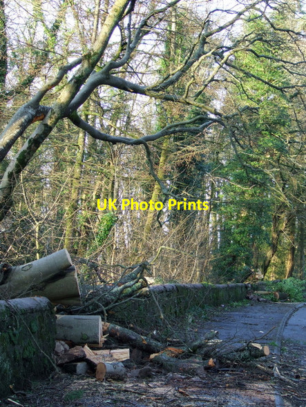 Photo 6"x4" After the storm Inverkip c2012