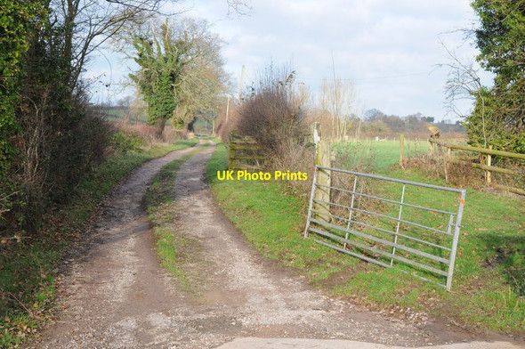 Photo 6"x4" Track and footpath Coed Morgan c2012